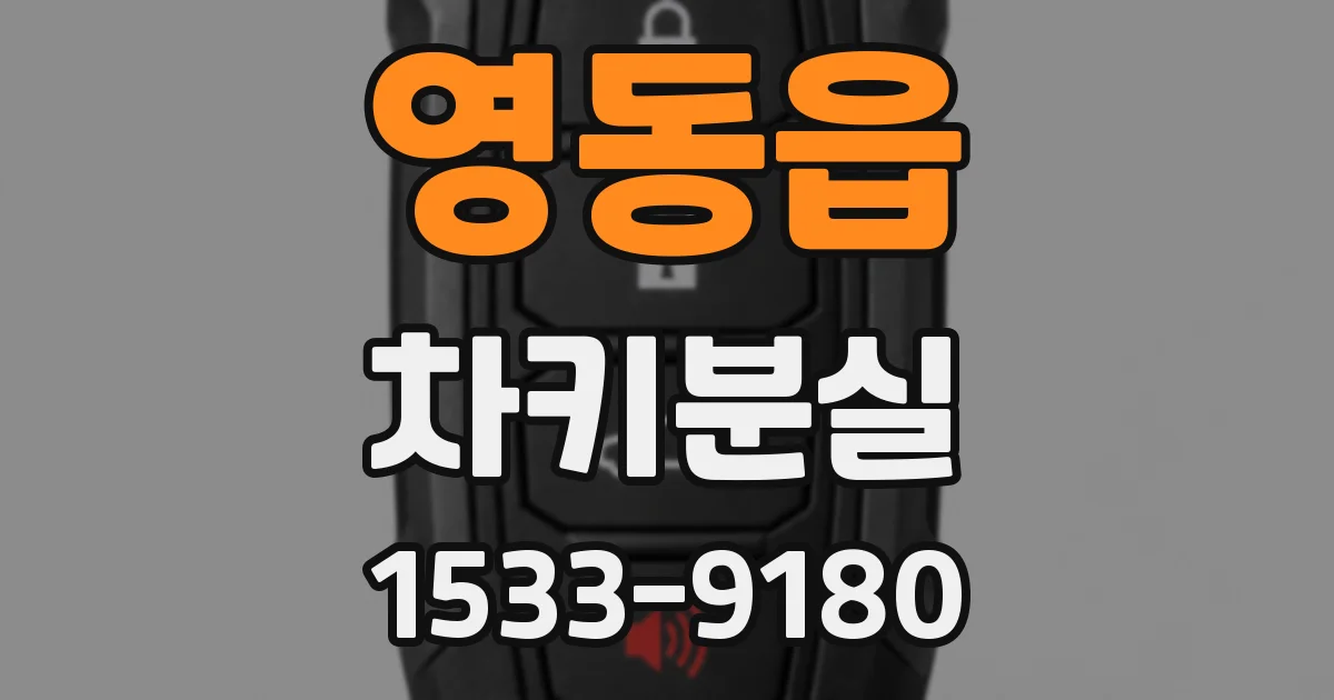 영동읍 차키분실