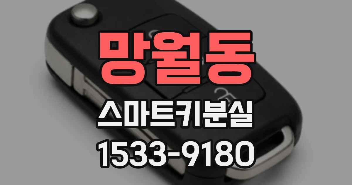망월동 스마트키분실