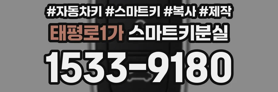 태평로1가 스마트키분실