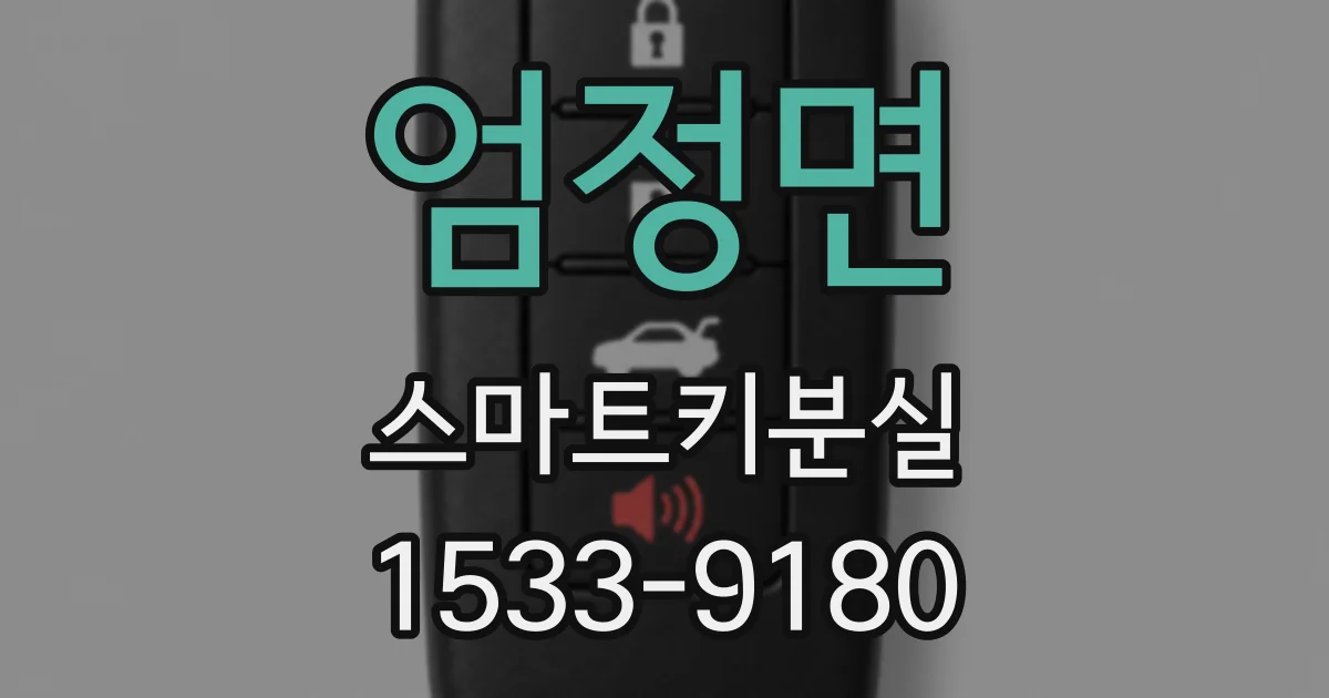 엄정면 스마트키분실