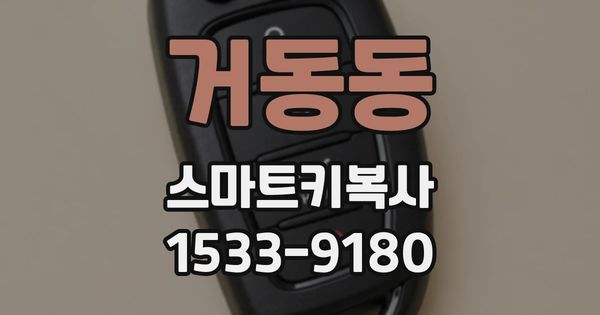 거동동 스마트키복사