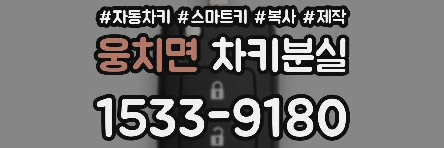 웅치면 차키분실