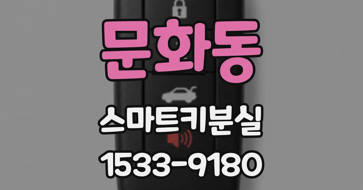 문화동 스마트키분실