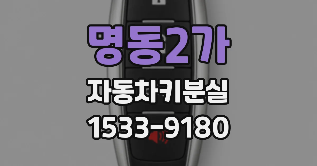 명동2가 자동차키분실