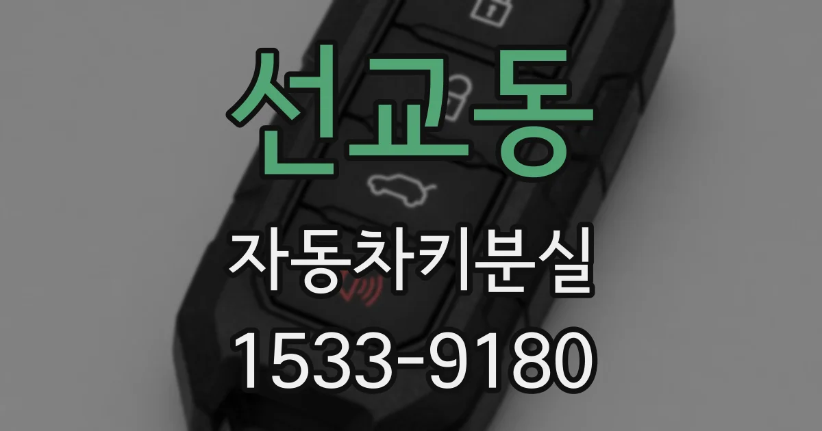 선교동 자동차키분실