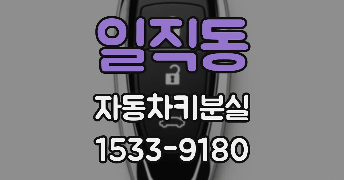 일직동 자동차키분실