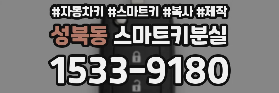 성북동 스마트키분실