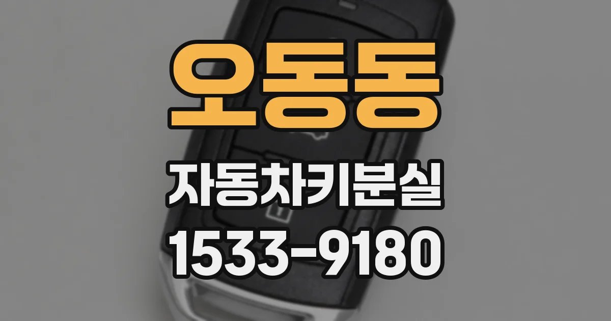 오동동 자동차키분실