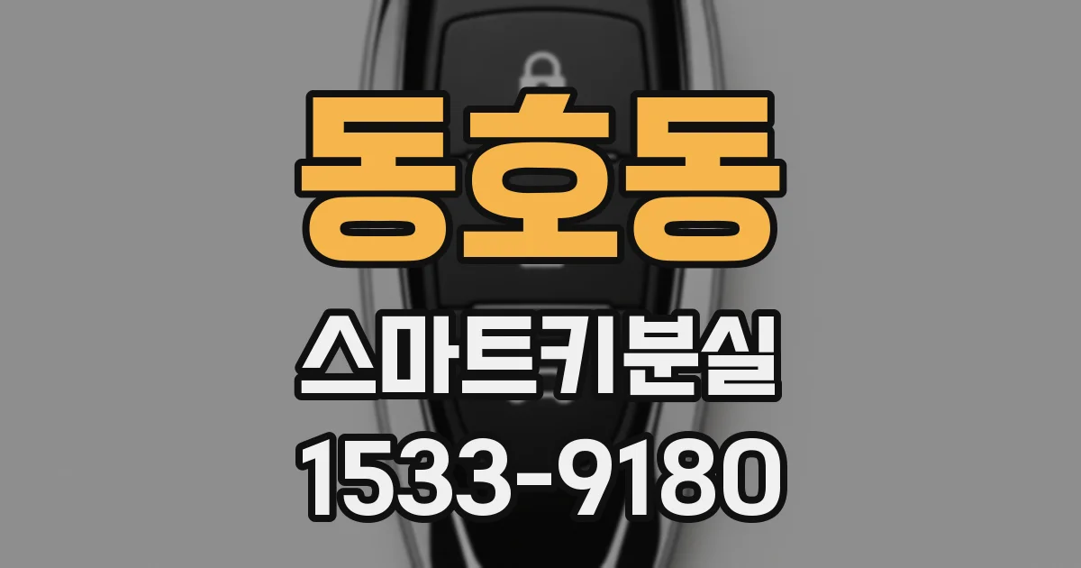 동호동 스마트키분실