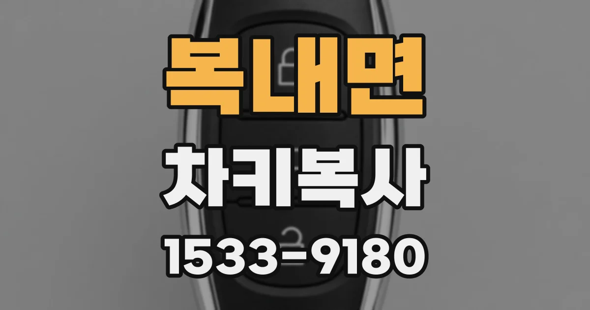 복내면 차키복사