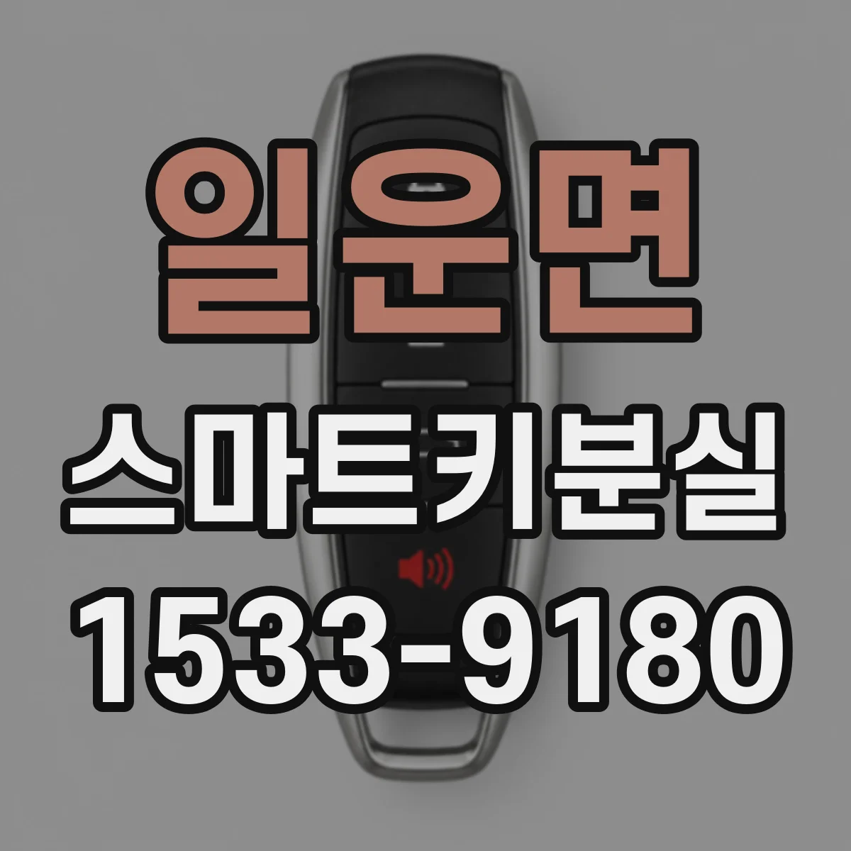 일운면 스마트키분실