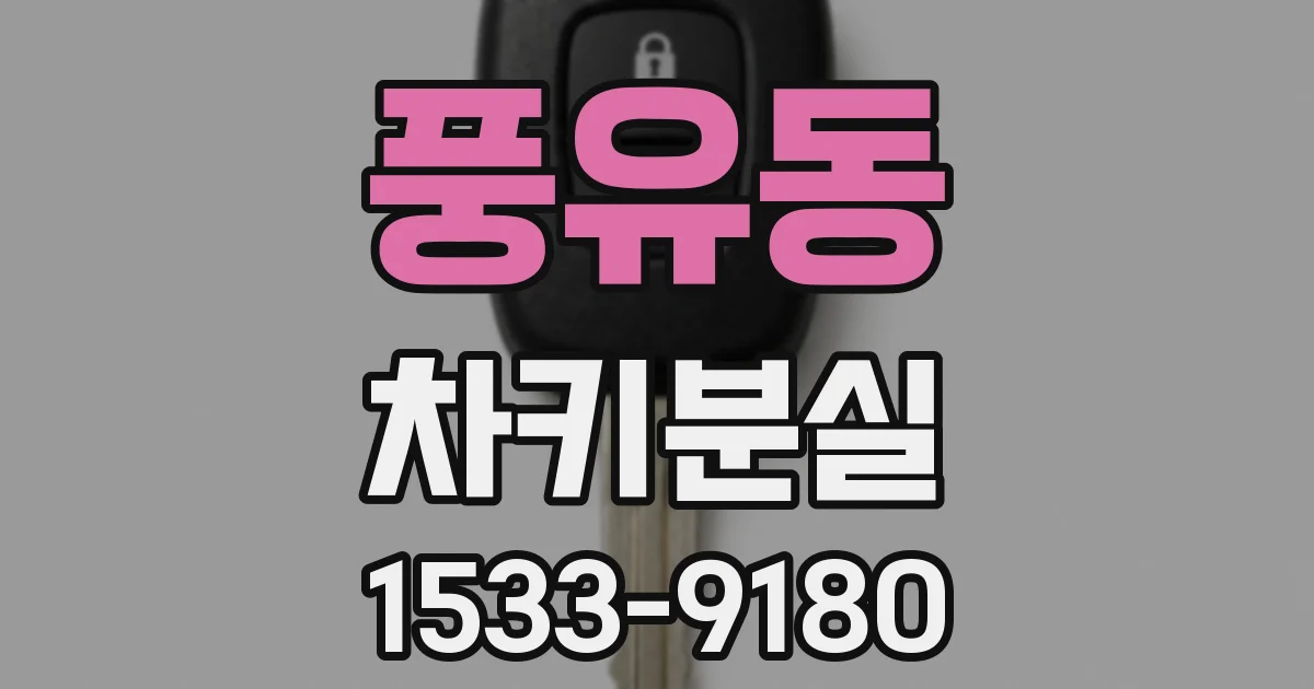 풍유동 차키분실