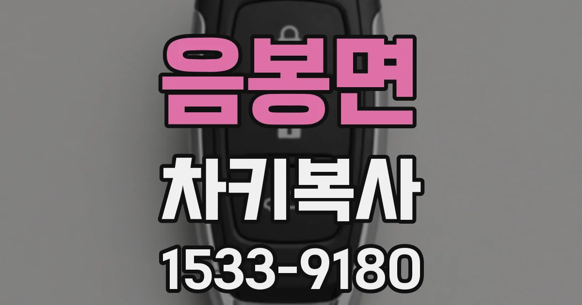 음봉면 차키복사