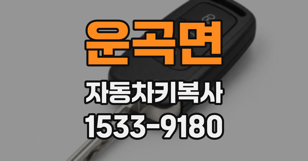 운곡면 자동차키복사