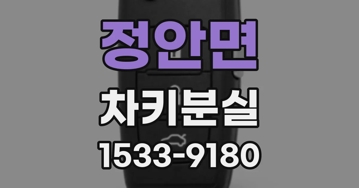 정안면 차키분실