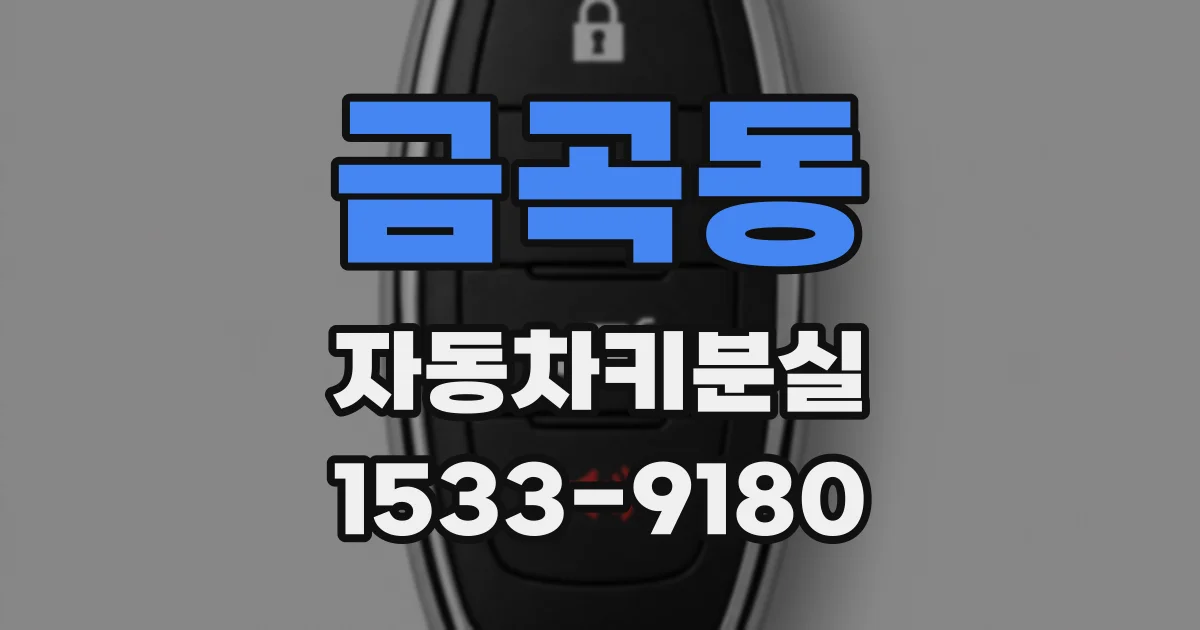 금곡동 자동차키분실