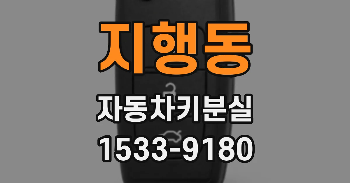 지행동 자동차키분실