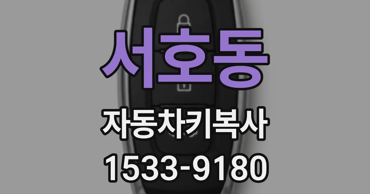 서호동 자동차키복사