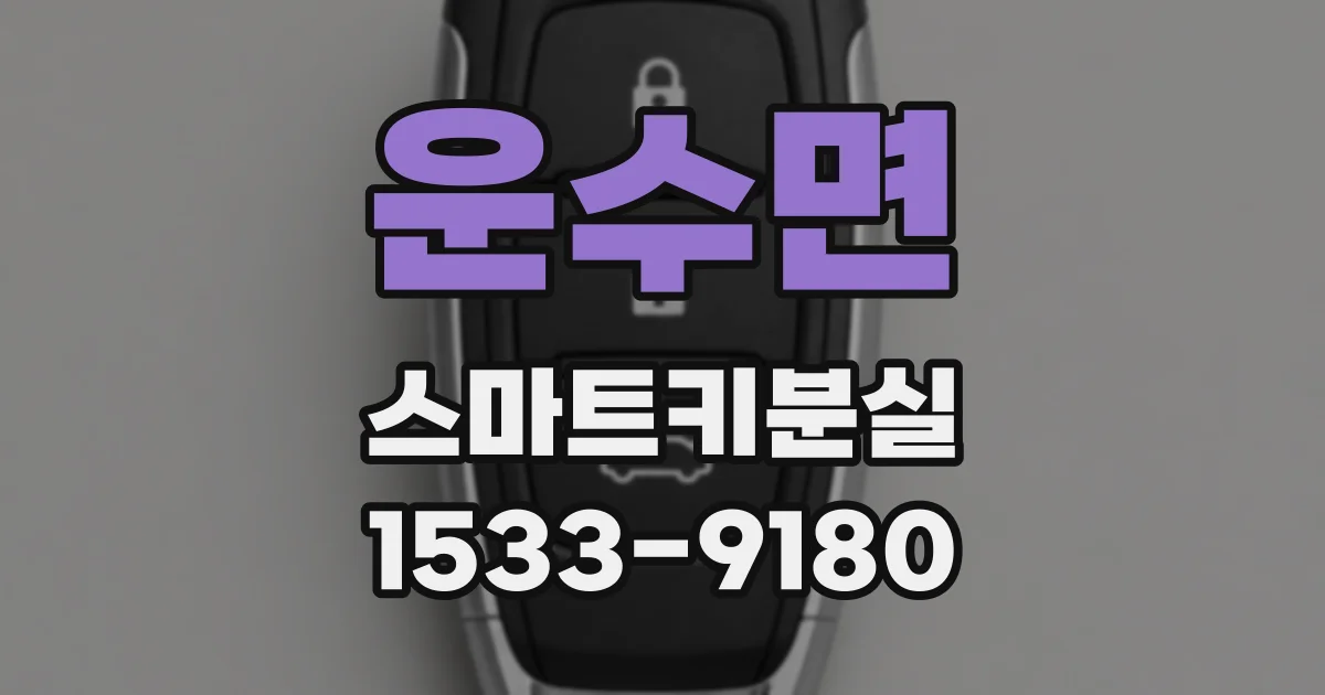 운수면 스마트키분실