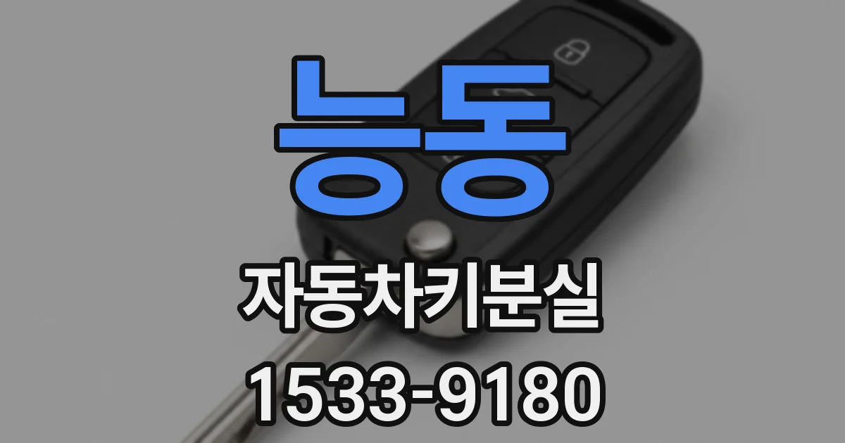 능동 자동차키분실