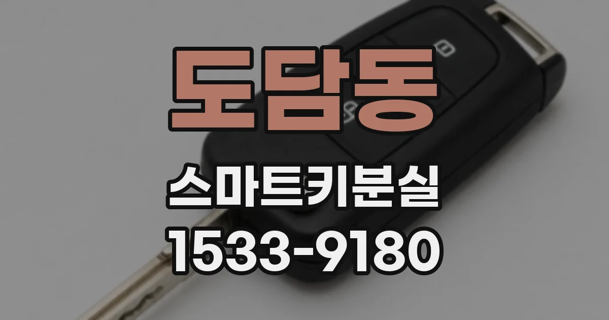 도담동 스마트키분실