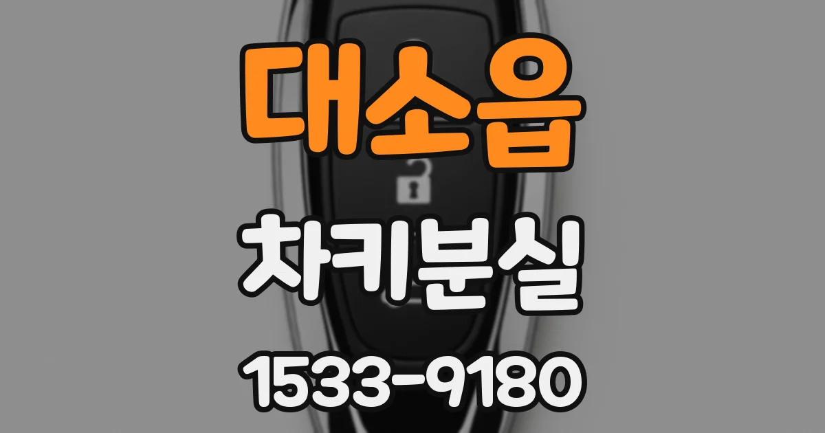 대소읍 차키분실
