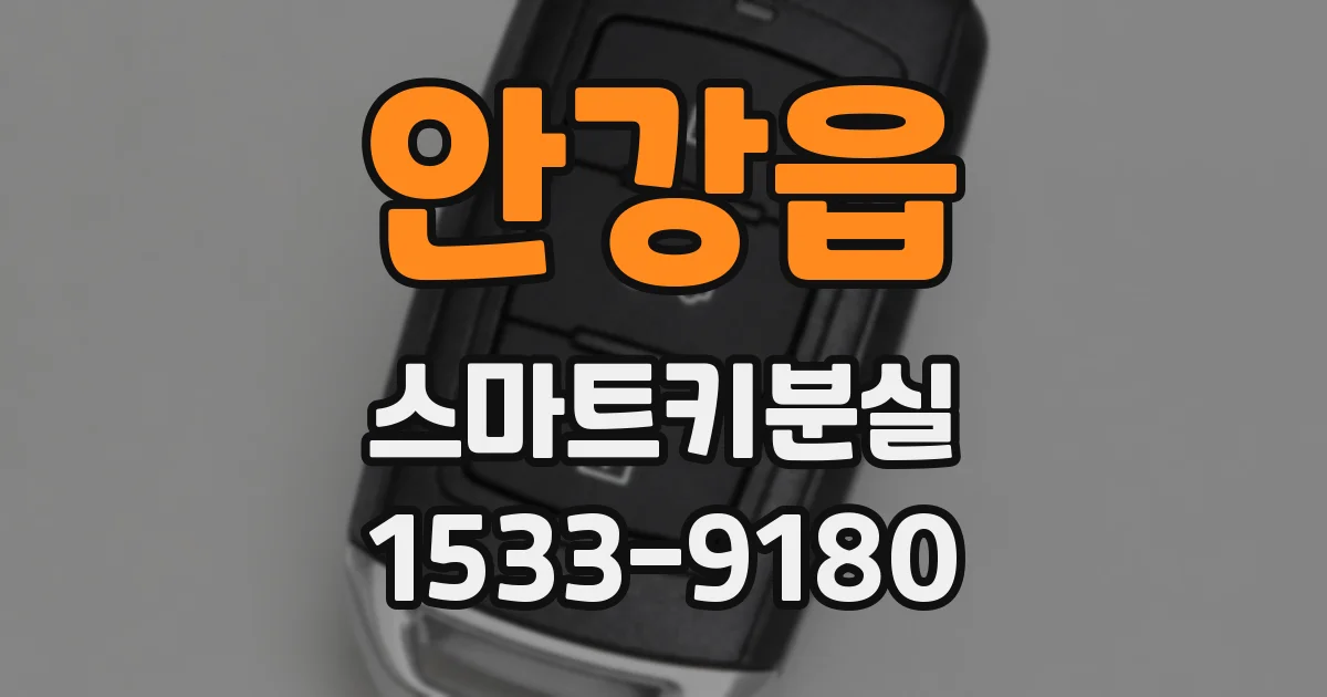 안강읍 스마트키분실
