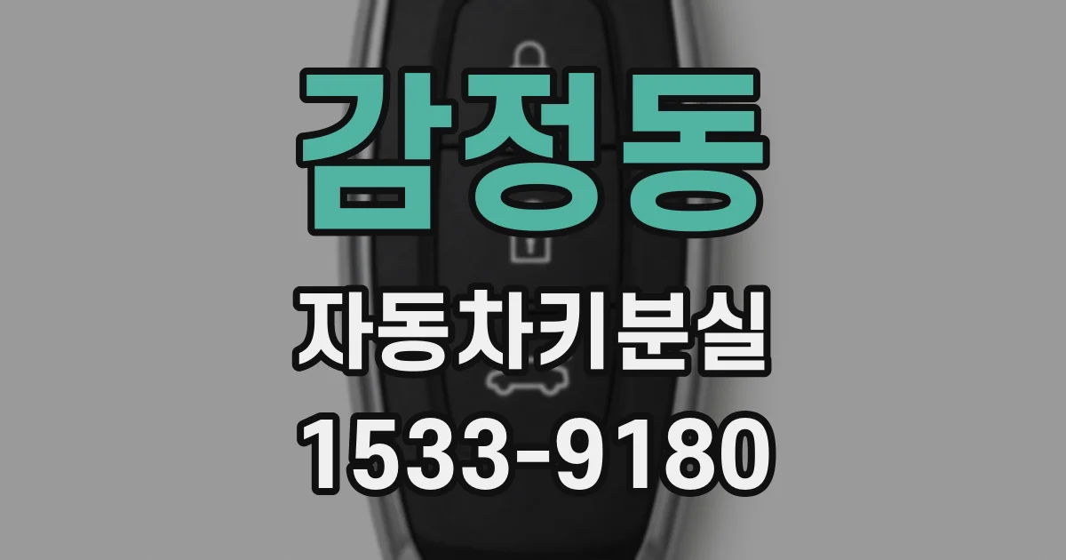 감정동 자동차키분실