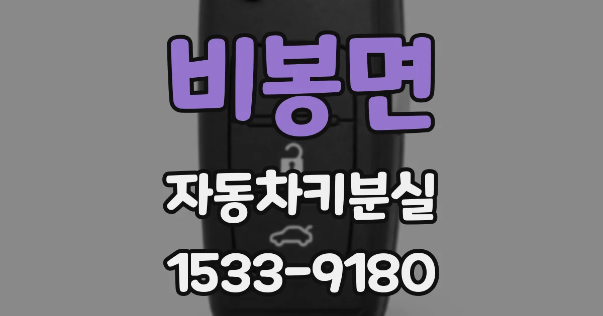 비봉면 자동차키분실