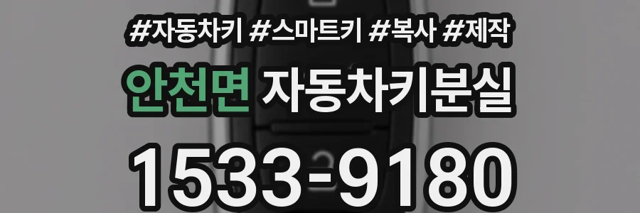 안천면 자동차키분실