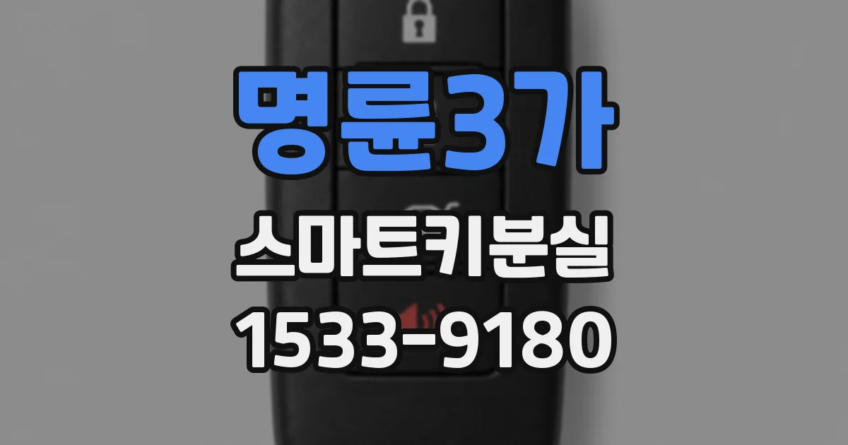 명륜3가 스마트키분실