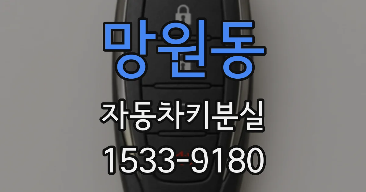 망원동 자동차키분실