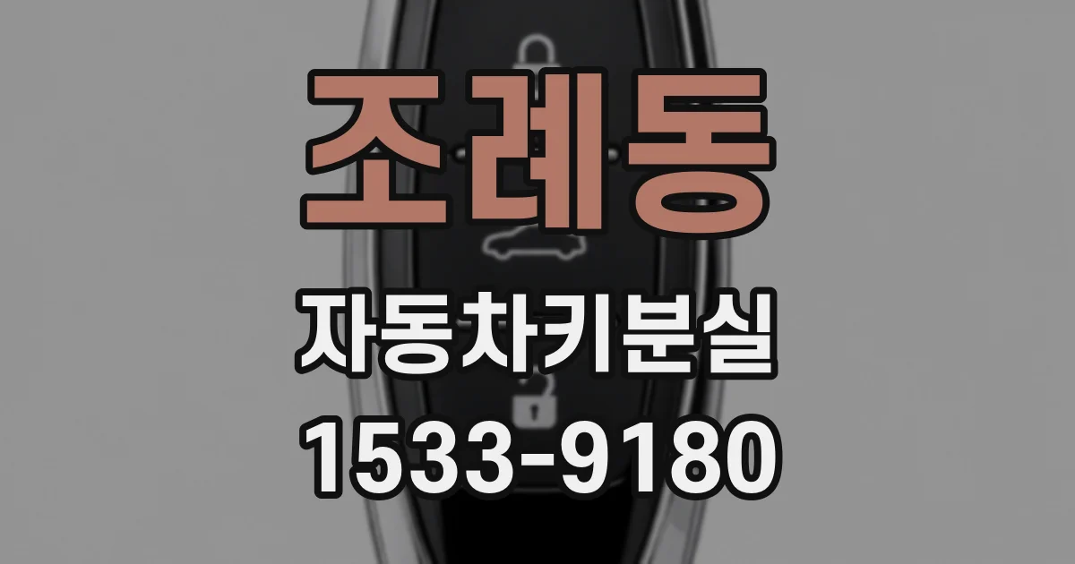 조례동 자동차키분실