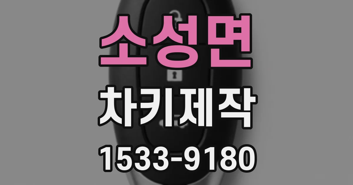 소성면 차키제작