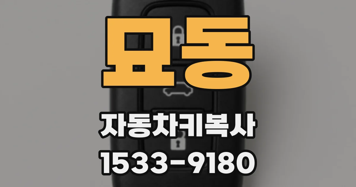 묘동 자동차키복사