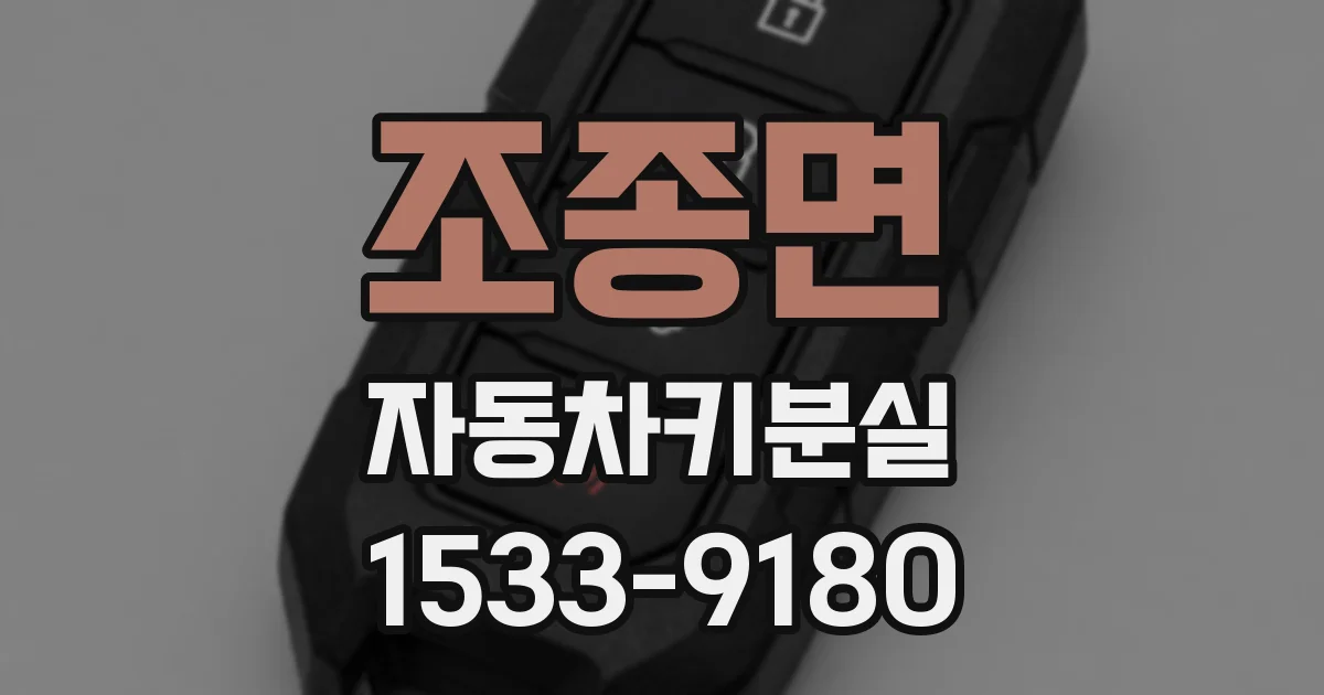 조종면 자동차키분실