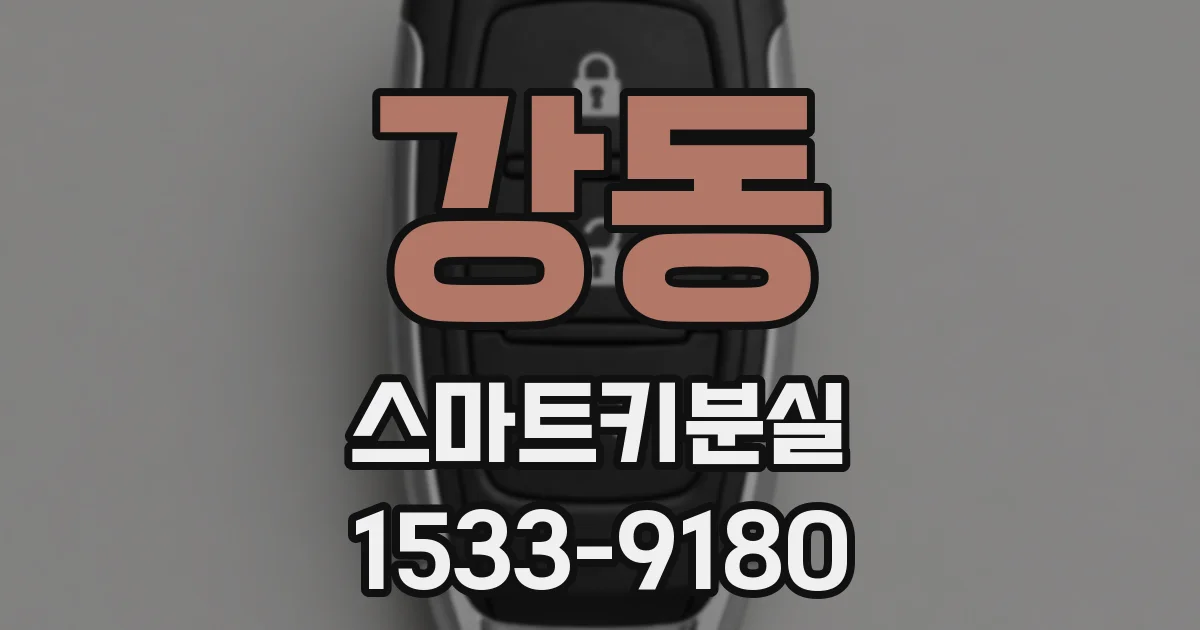 강동 스마트키분실
