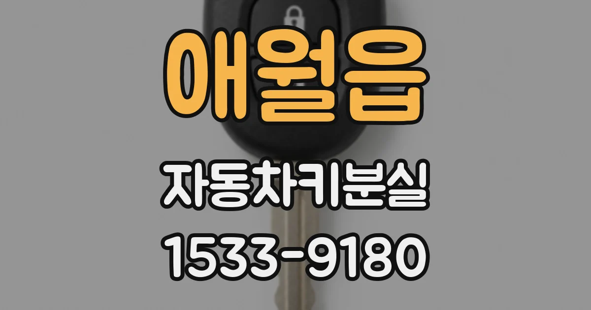 애월읍 자동차키분실