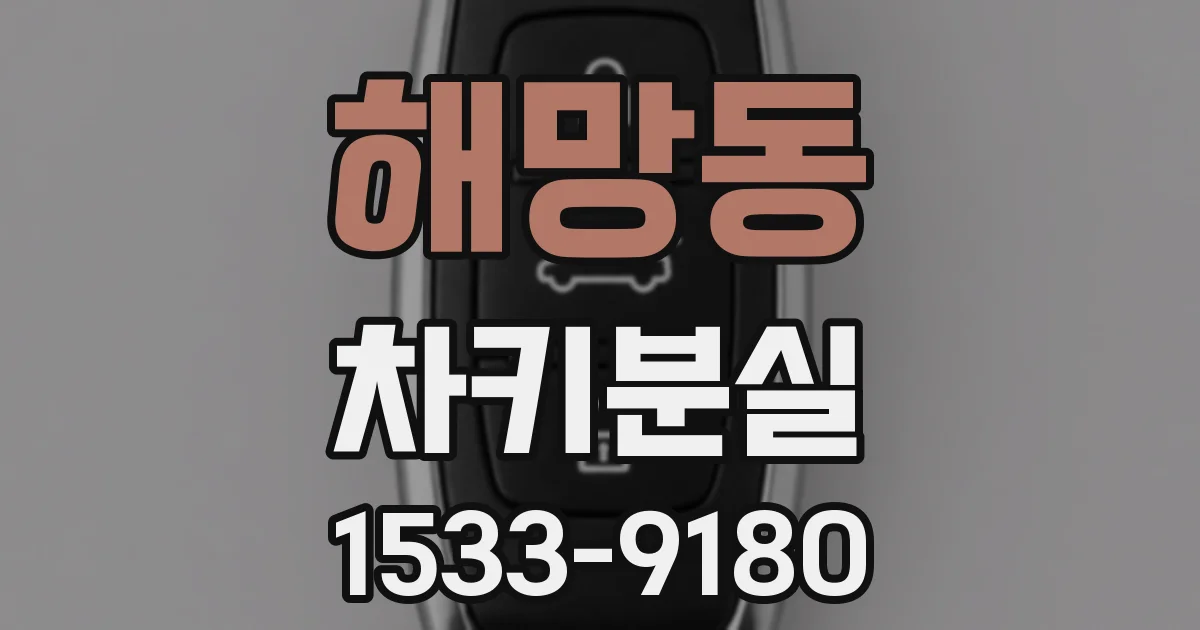 해망동 차키분실