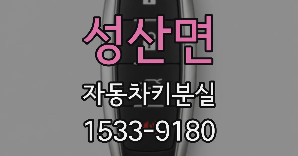 성산면 자동차키분실