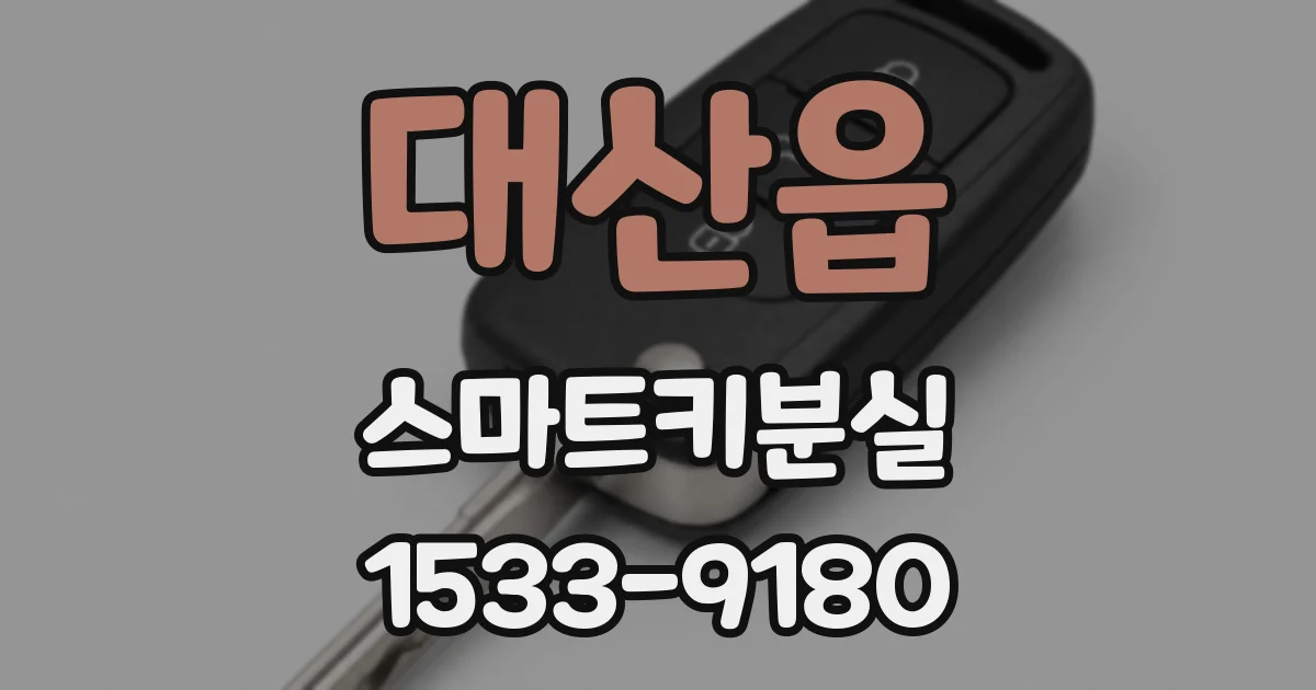 대산읍 스마트키분실