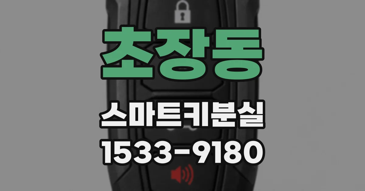 초장동 스마트키분실
