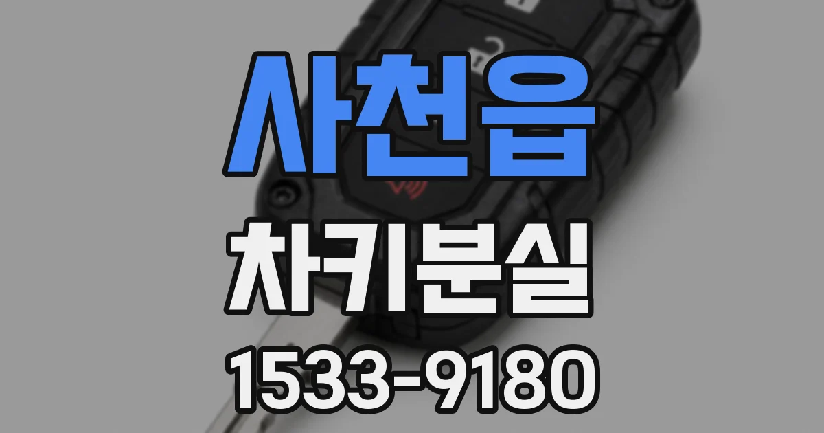 사천읍 차키분실