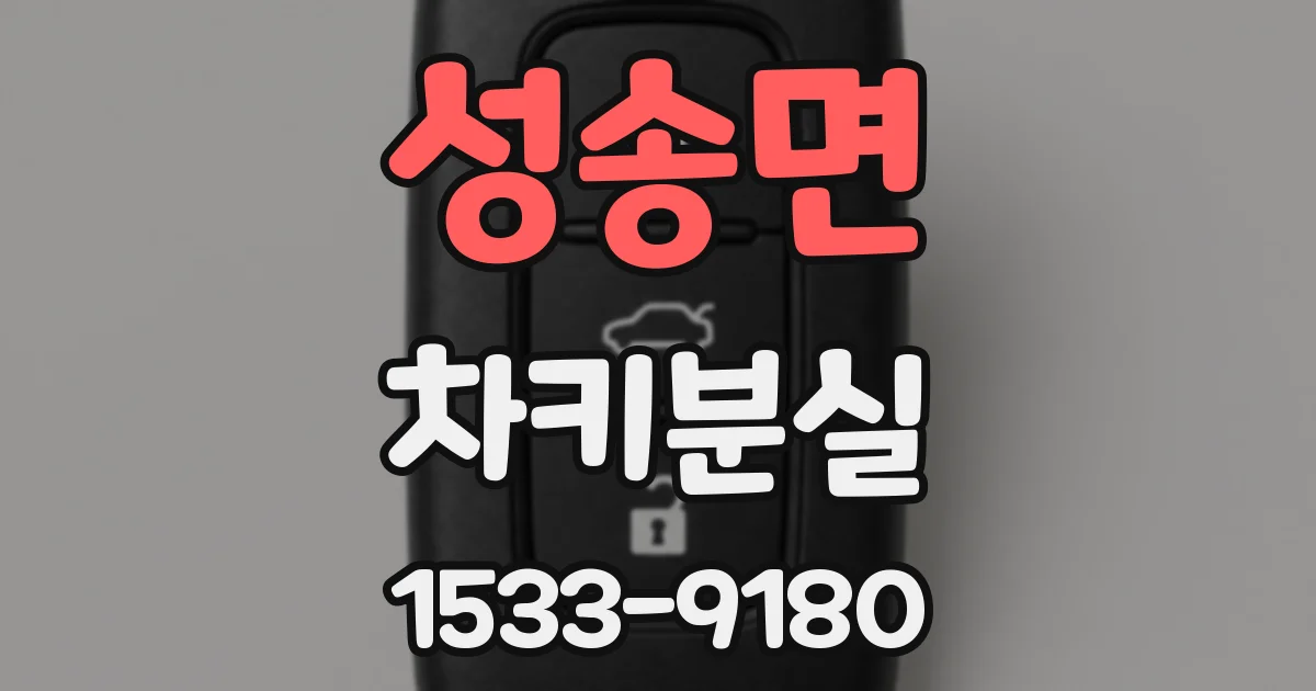 성송면 차키분실