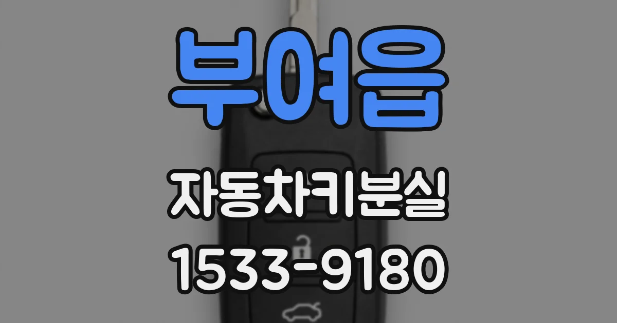 부여읍 자동차키분실