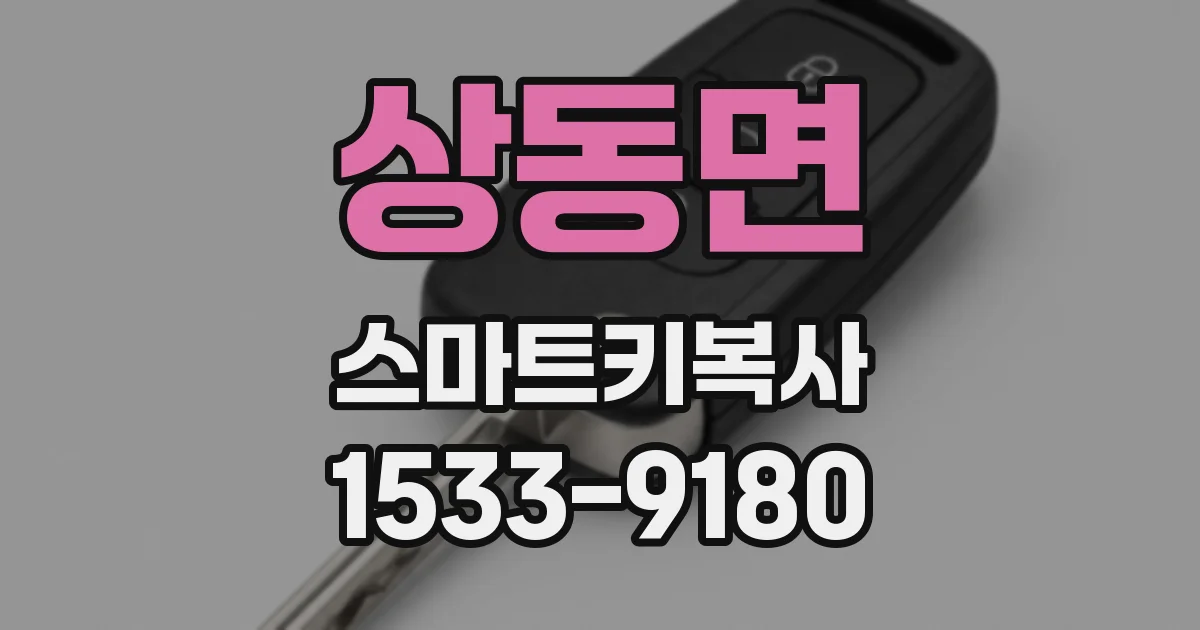 상동면 스마트키복사