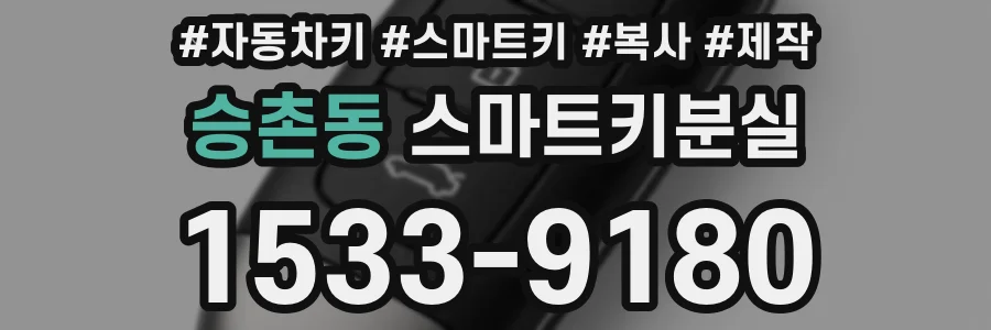 승촌동 스마트키분실