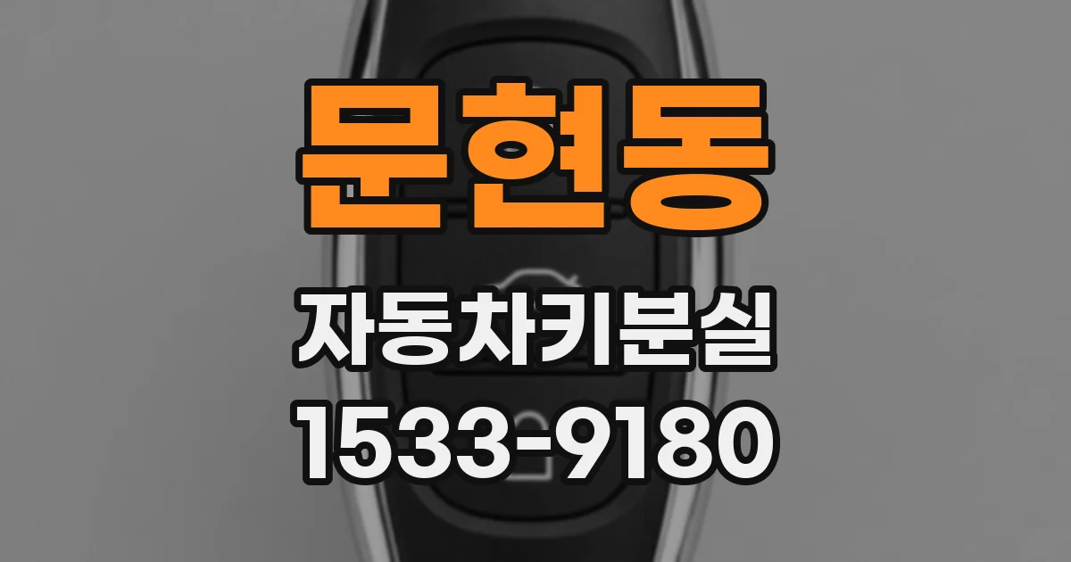 문현동 자동차키분실