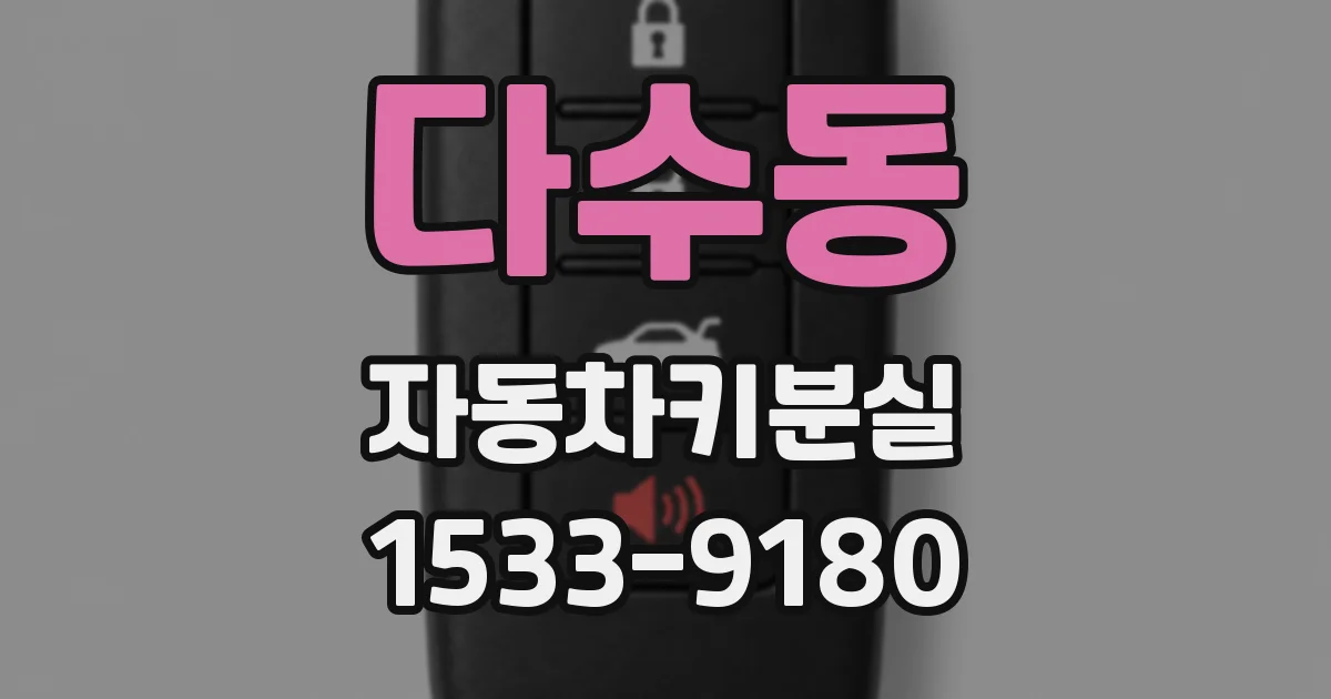 다수동 자동차키분실