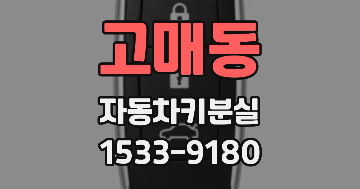 고매동 자동차키분실